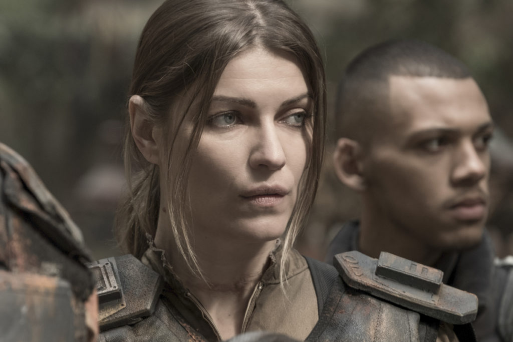 the 100, the 100, the 100